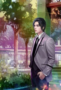 段家女将(续):帝国71-80