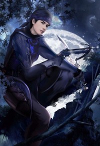 DC騎士
