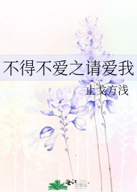 不得不爱之请爱我